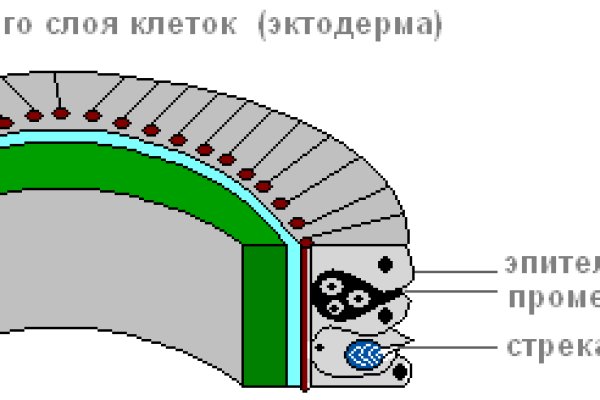 Кракен актуальная