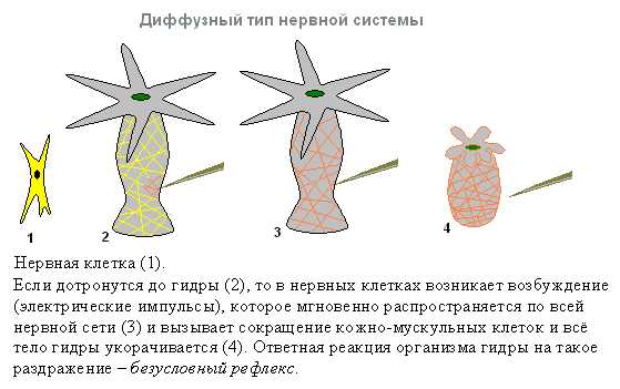 Как пополнить кракен